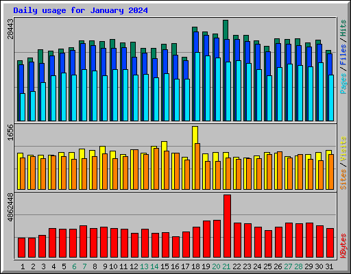 Daily usage for January 2024