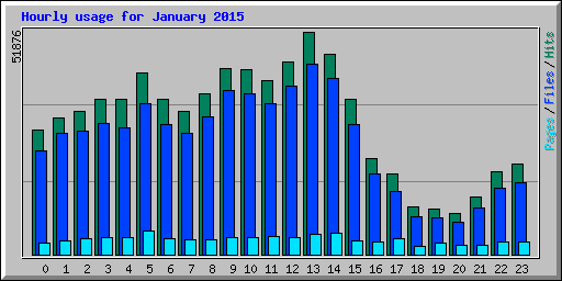 Hourly usage for January 2015