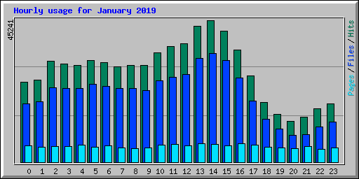 Hourly usage for January 2019