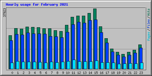 Hourly usage for February 2021