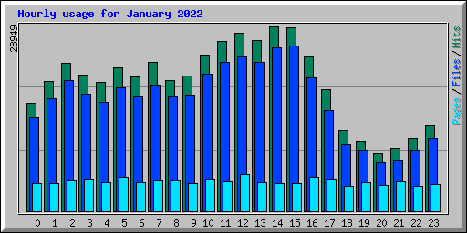 Hourly usage for January 2022