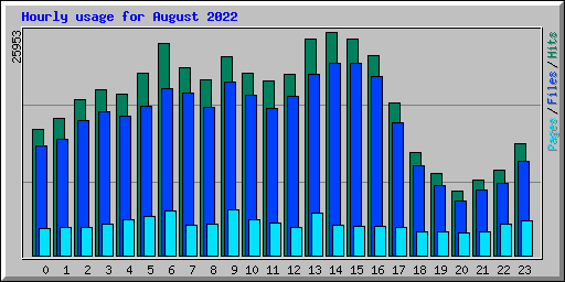 Hourly usage for August 2022