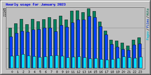 Hourly usage for January 2023