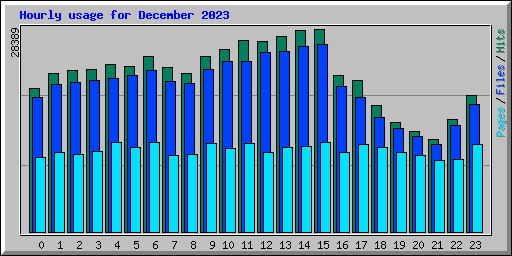 Hourly usage for December 2023