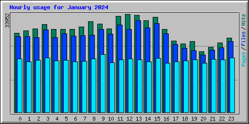 Hourly usage for January 2024