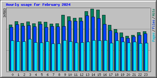 Hourly usage for February 2024